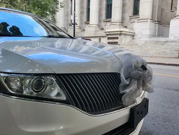 Close detail of a white limousine grille with wedding ribbon